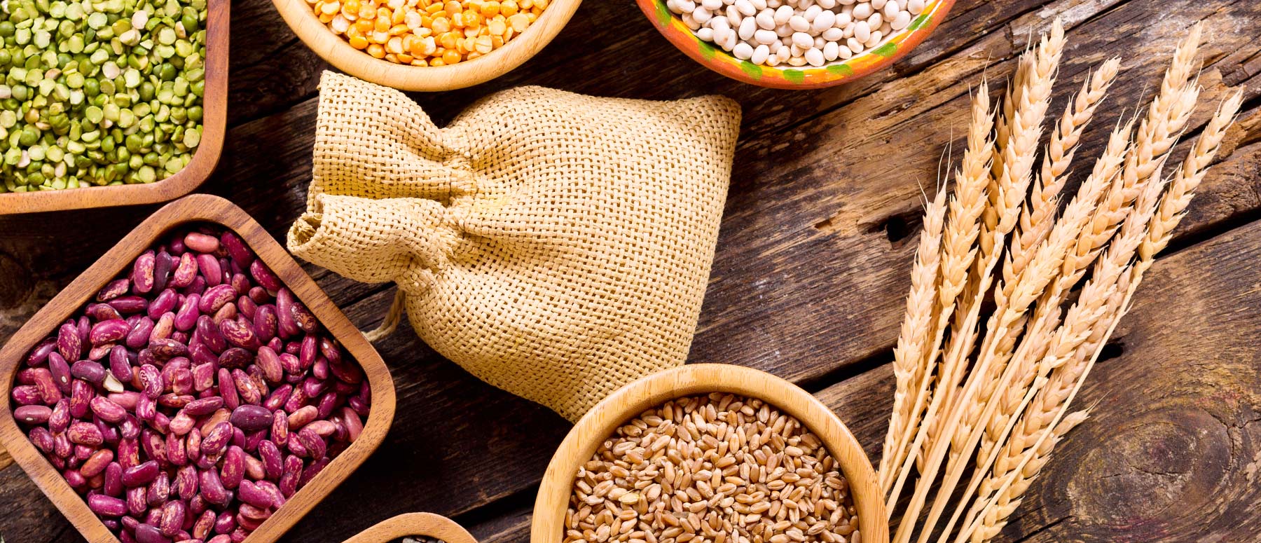 [Portfolio] Grains & Legumes Nutrition Council by Creative Canary